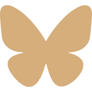 Blue Sky icon